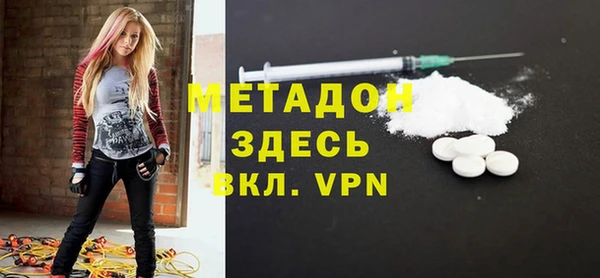 индика Алексин