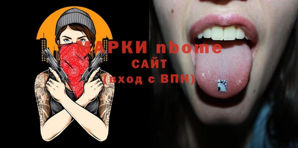 индика Алексин
