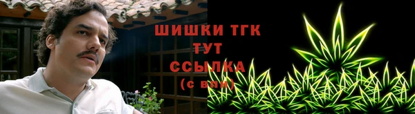 гашик Алзамай