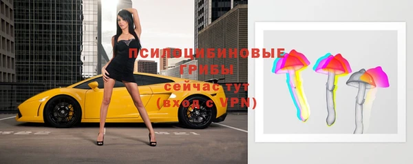 индика Алексин