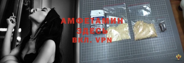 индика Алексин