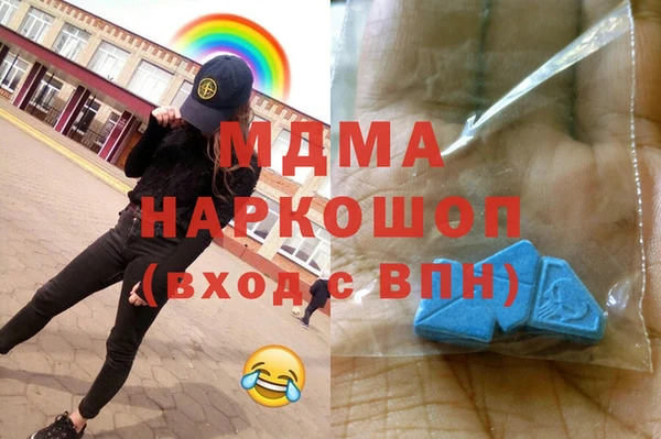 индика Алексин