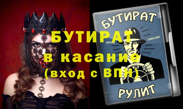 индика Алексин