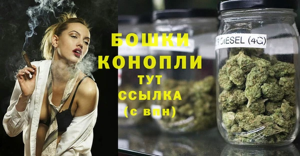индика Алексин