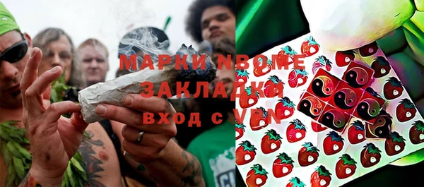 индика Алексин
