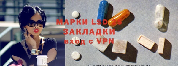 индика Алексин