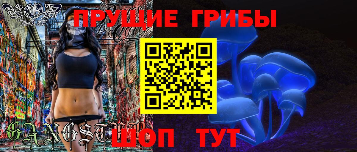 Псилоцибиновые грибы Psilocybe Подольск