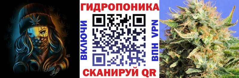 купить закладку  Подольск  Каннабис конопля 